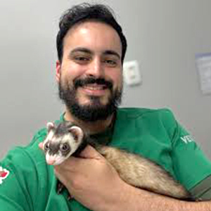 Gabriel Guerreiro Fiamenghi