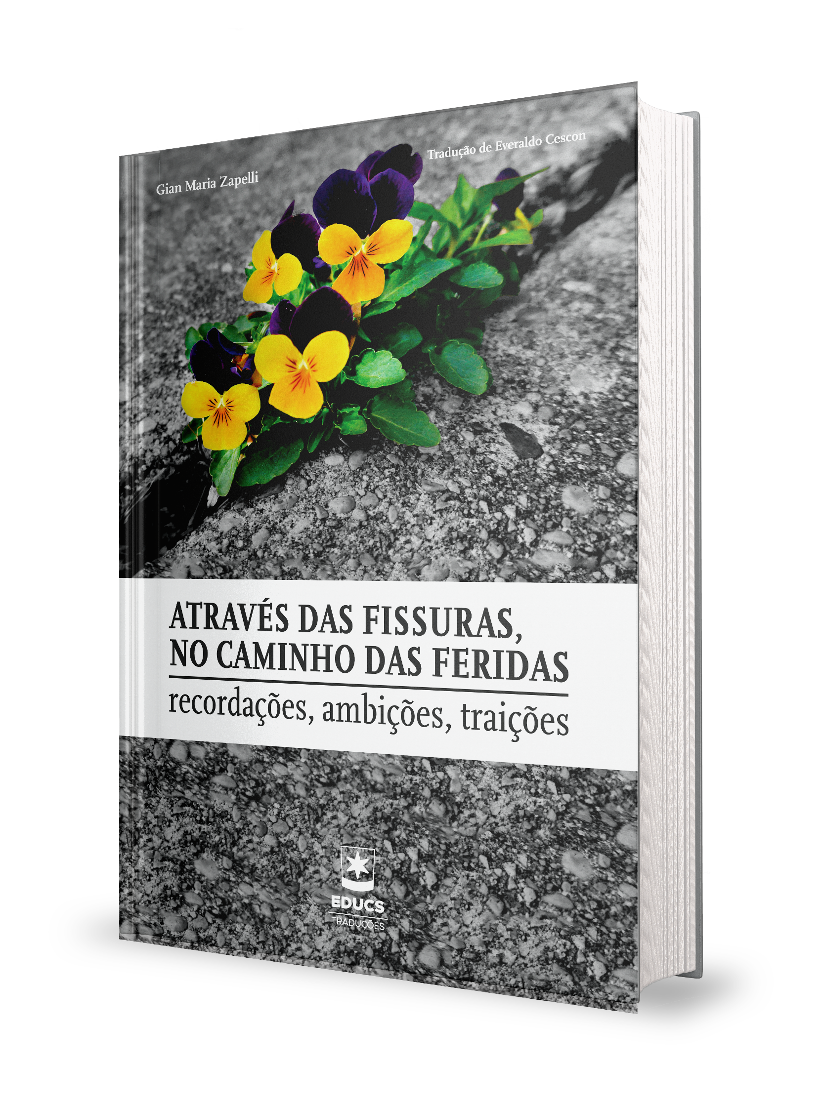 Através das Fissuras, no Caminho das Feridas: recordações, ambições, traições