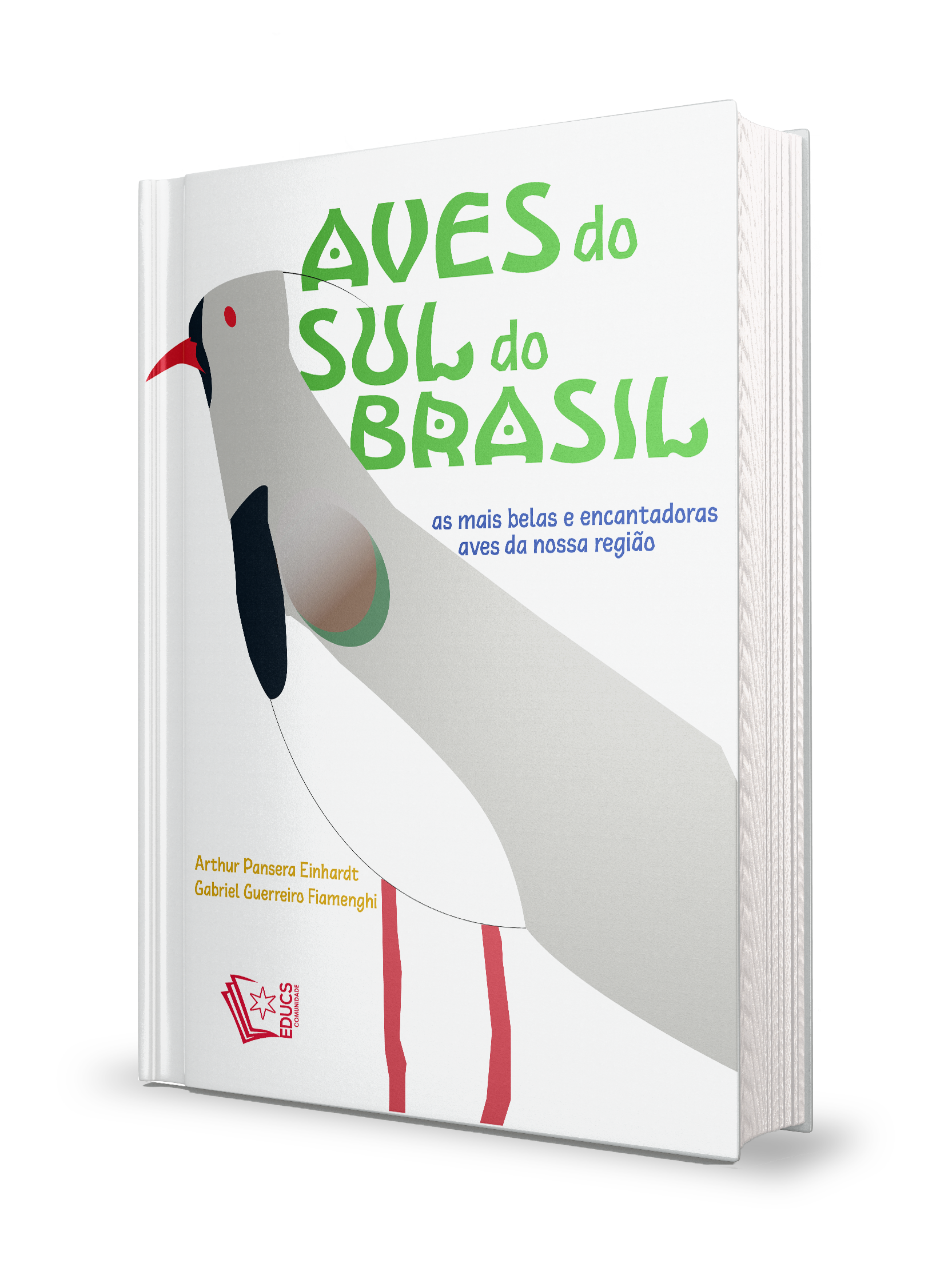 Aves do Sul do Brasil: as mais belas e encantadoras aves da nossa região