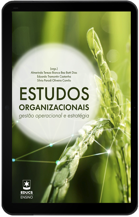 Estudos Organizacionais: gestão operacional e estratégia
