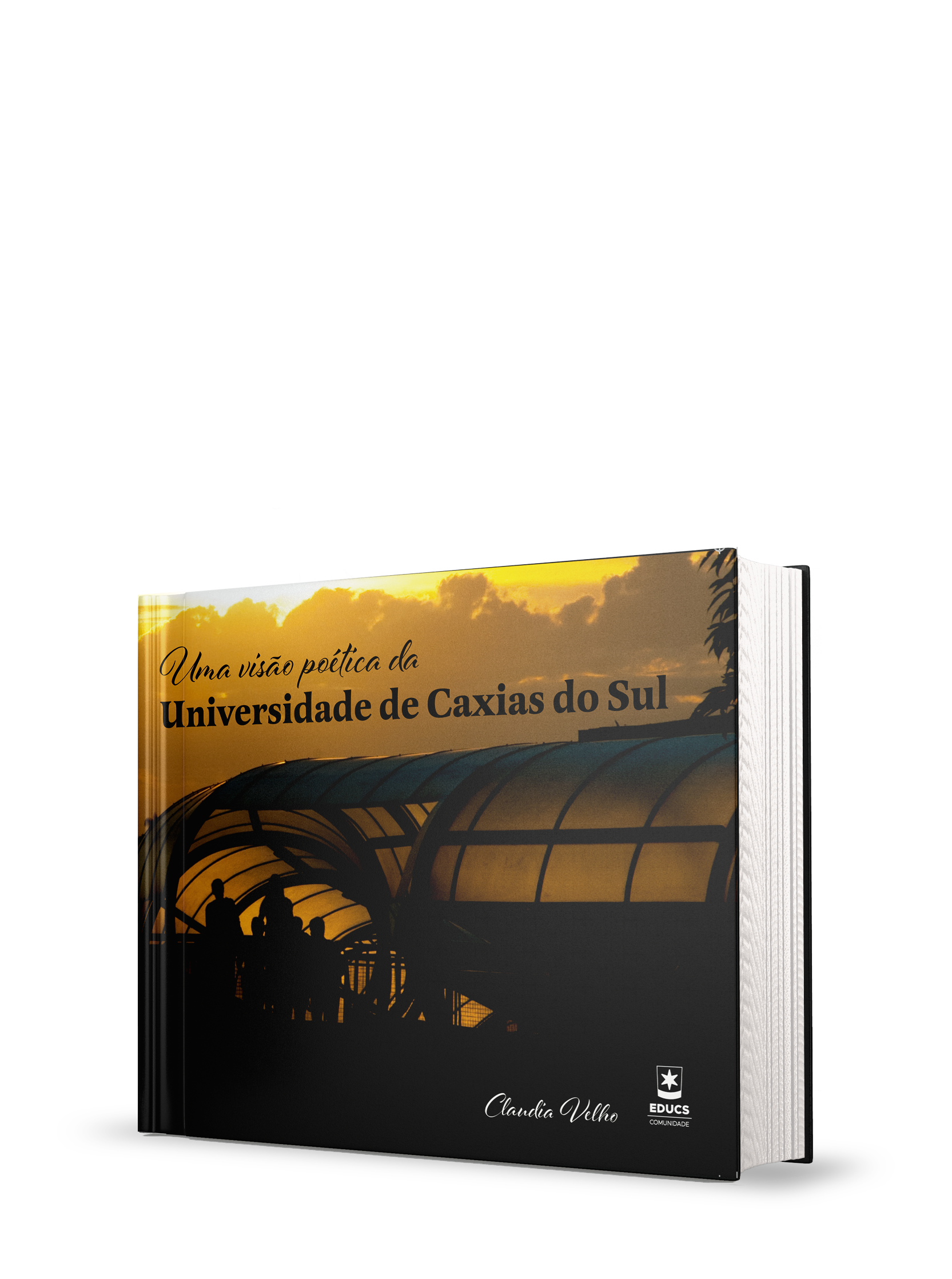 Uma visão poética da Universidade de Caxias do Sul