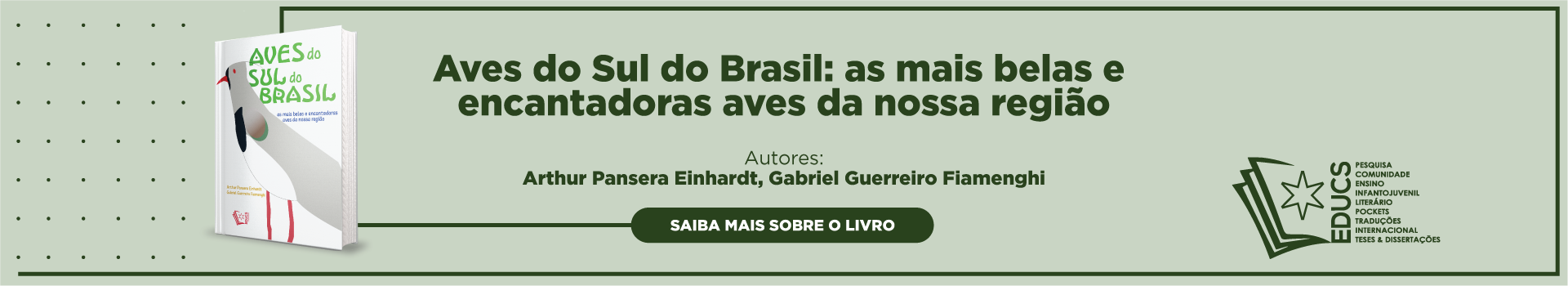 Aves do Sul do Brasil: as mais belas e encantadoras aves da nossa região