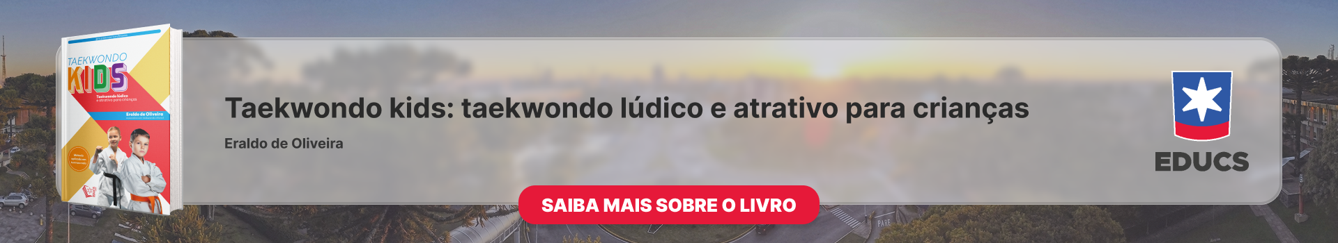 Taekwondo kids: taekwondo lúdico e atrativo para crianças