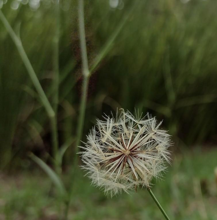 Sossego, fotografia digital de Mara Galvani, integrante da Exposição Miniarte PAZ