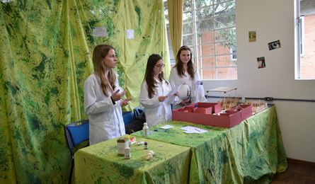 Apresentação - Clube Comunitário Realize.