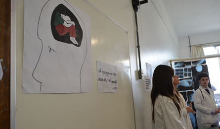 Apresentação - Hospital Psiquiátrico Philippe Pinel.