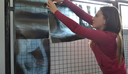 A preparação das Salas - Hospital Psiquiátrico Philippe Pinel.