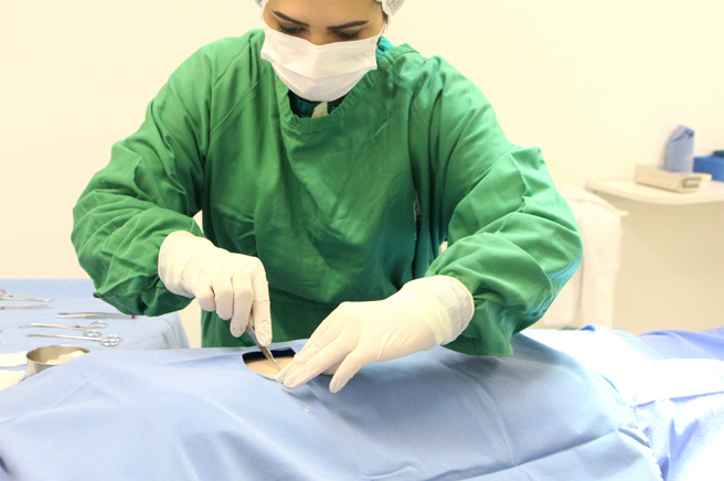 laboratóriodecirurgia