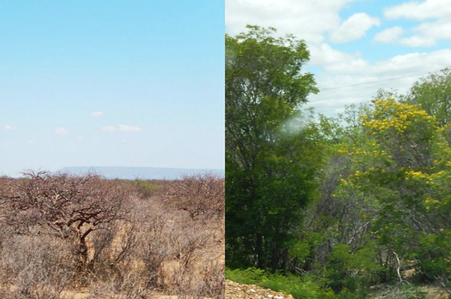 saída_de_campo_geografia3