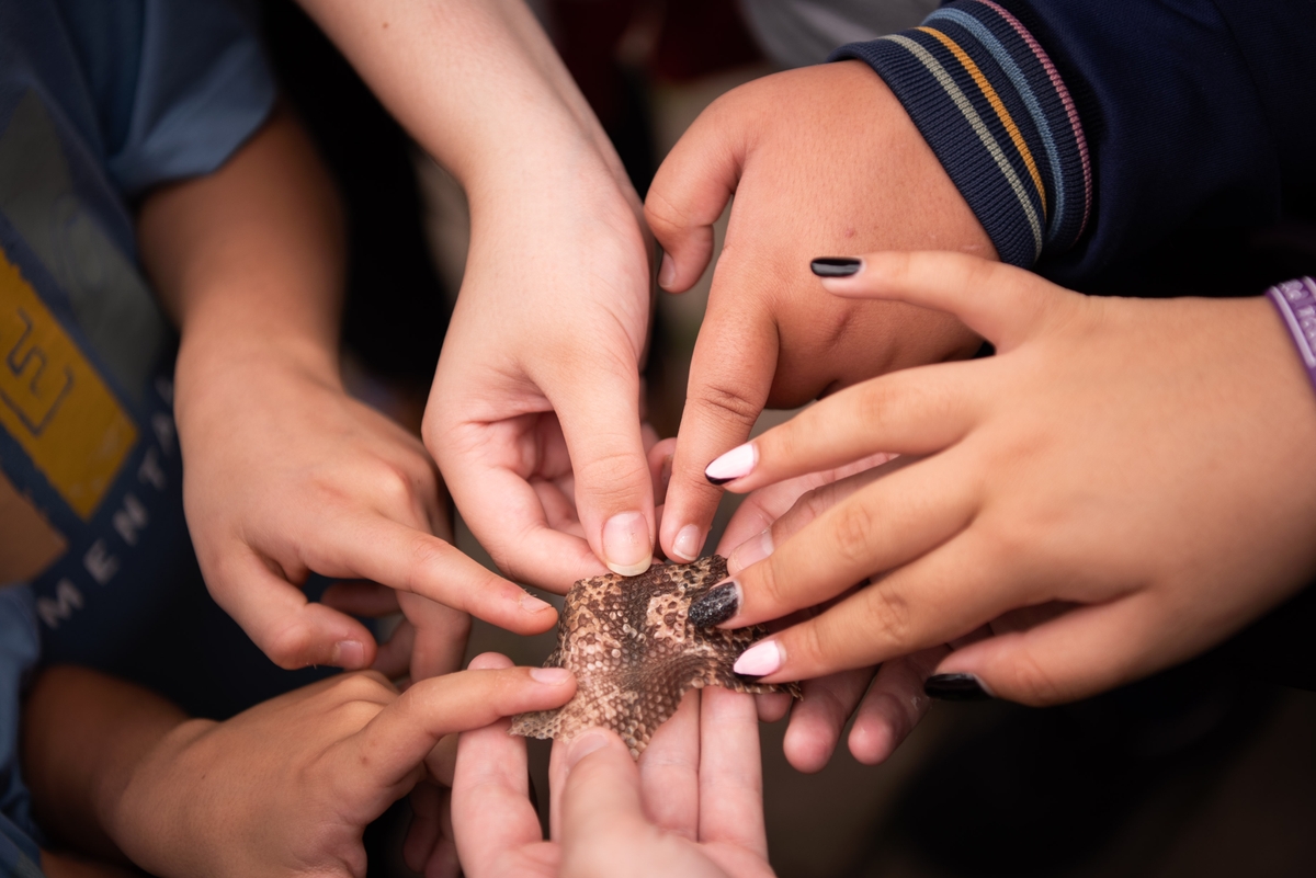 Ensinando as Próximas Gerações