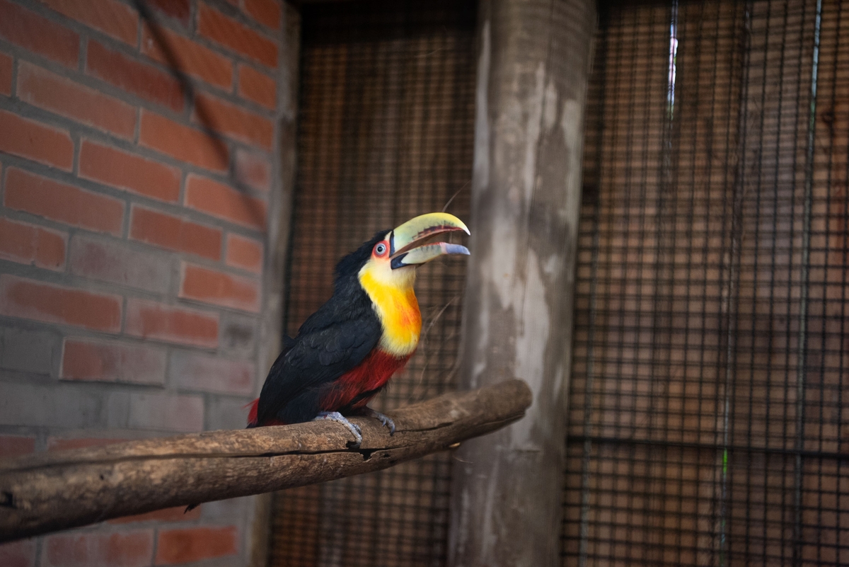 Ficamos felizes em recebê-los