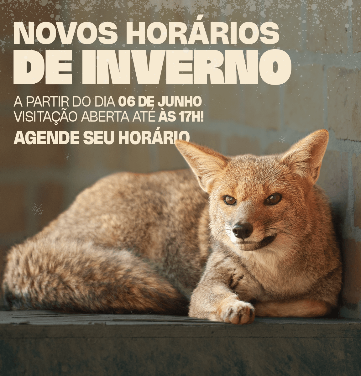 Inverno no Zoo